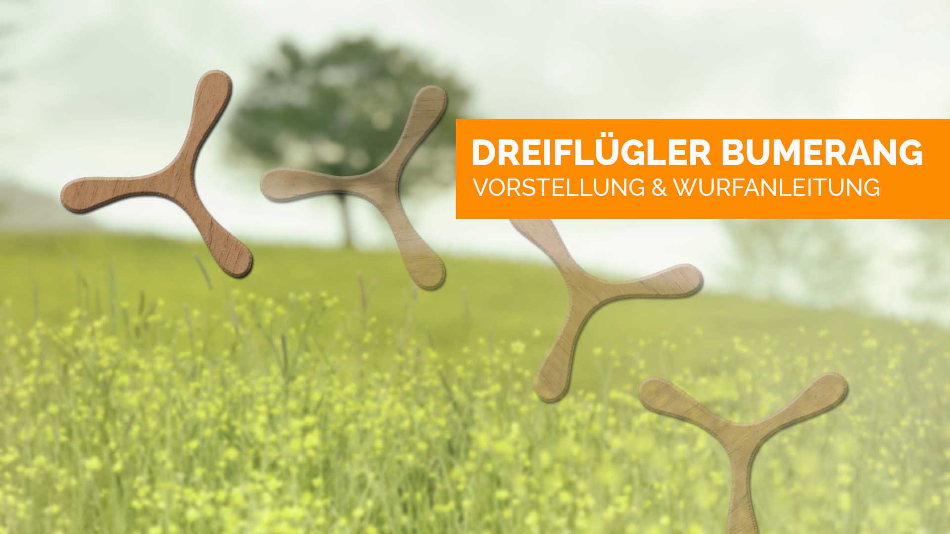 dreiflügler-bumerang-titelbild